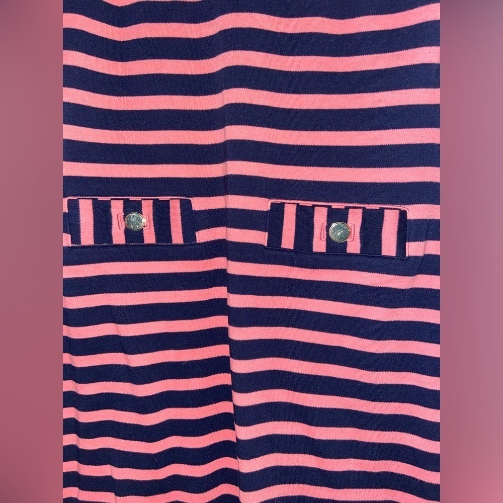 Talbots Women’s Petite Small Pink and Blue Striped Dress - Picture 2 of 6